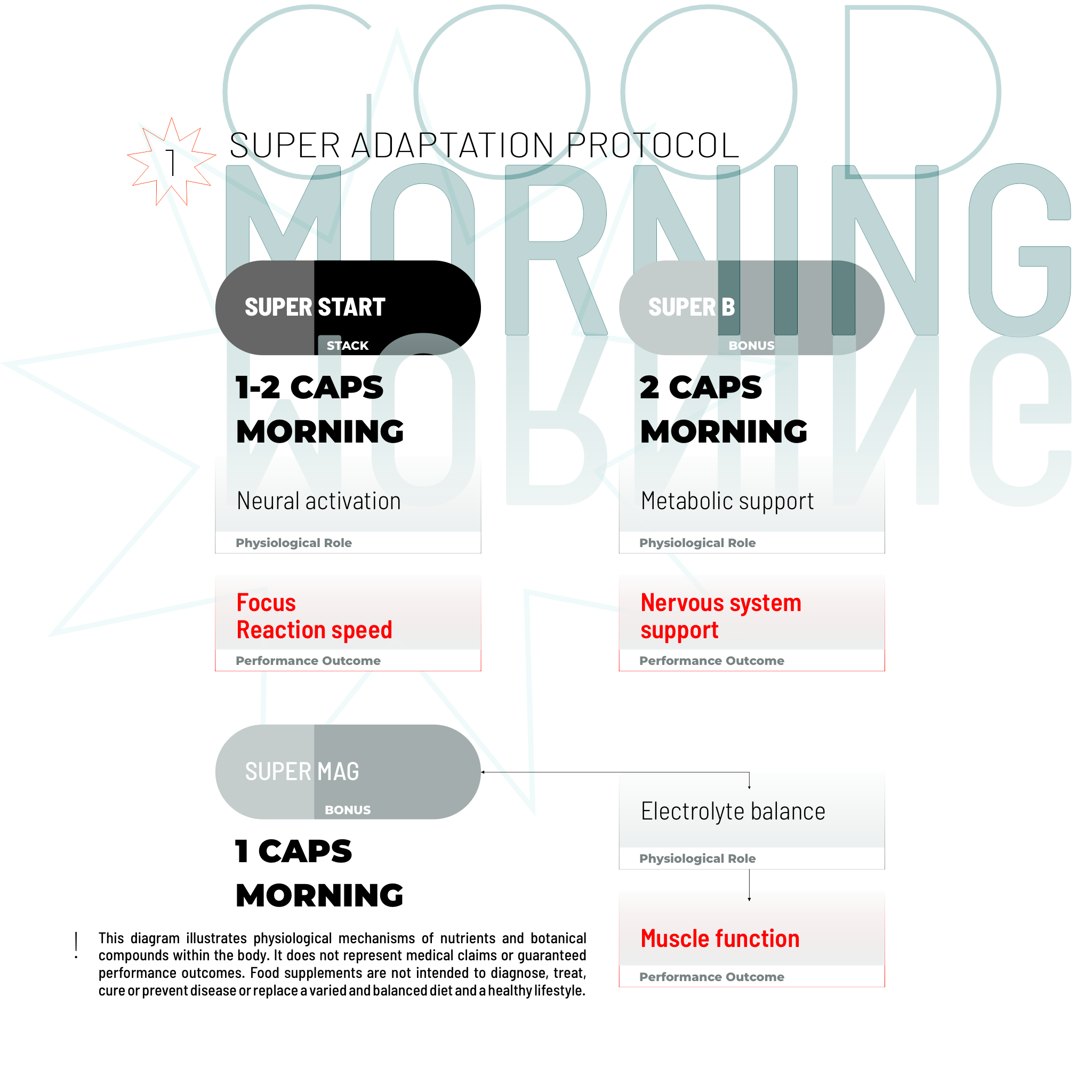 PACCHETTO SUPER ADATTAMENTO