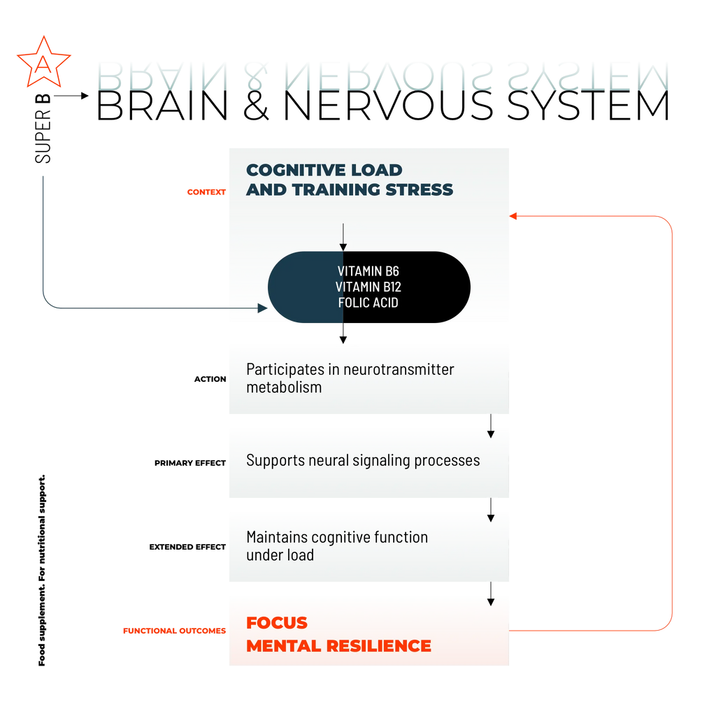 SUPER B / 100 KAPSELN.