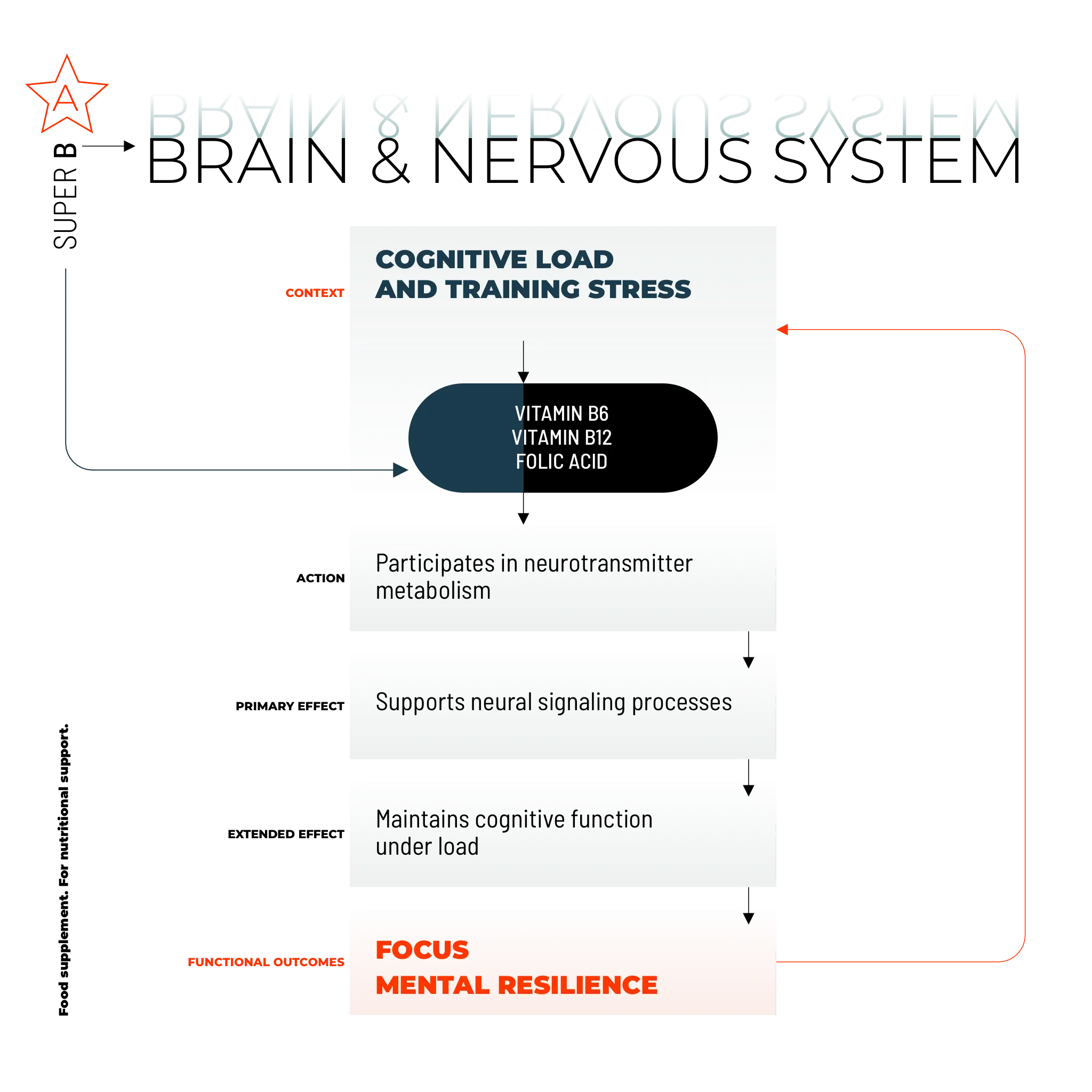 SUPER B / 100 KAPSELN.