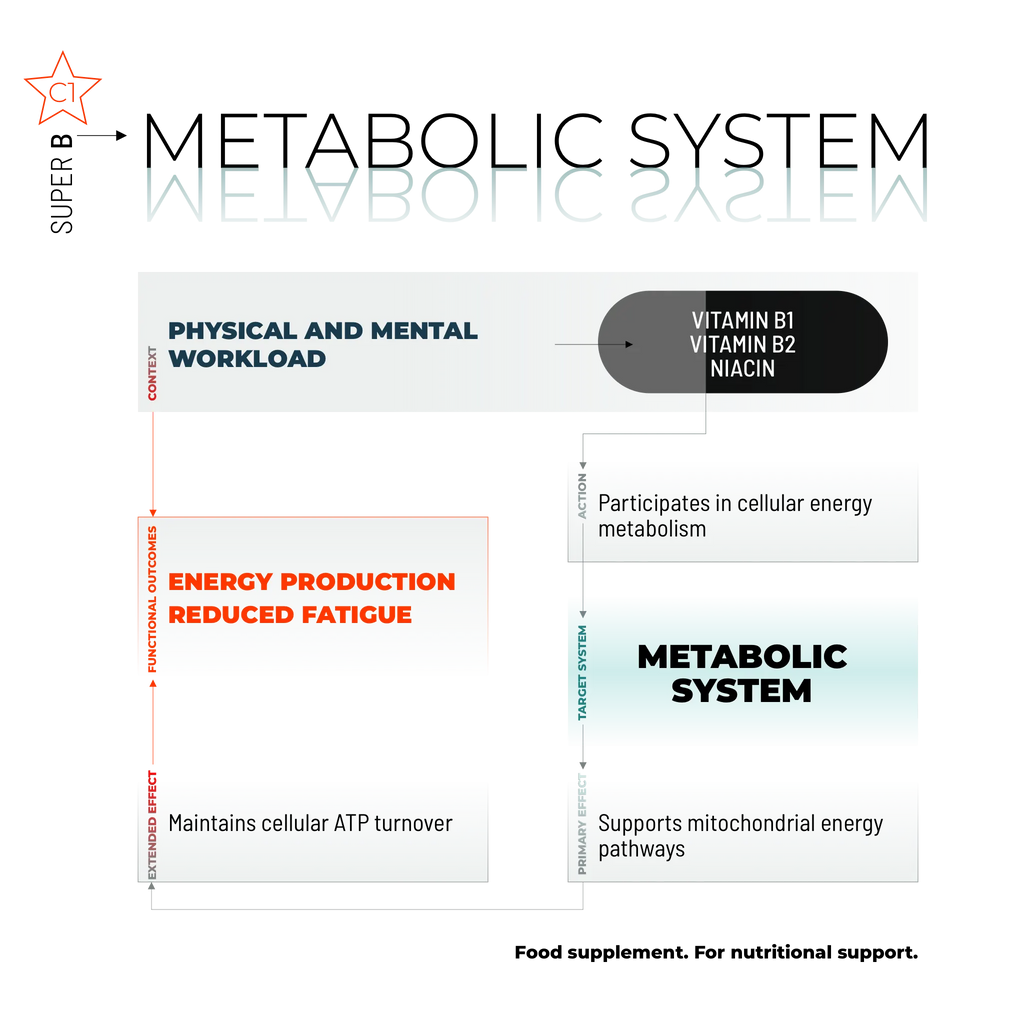 SUPER B / 100 KAPSELN.