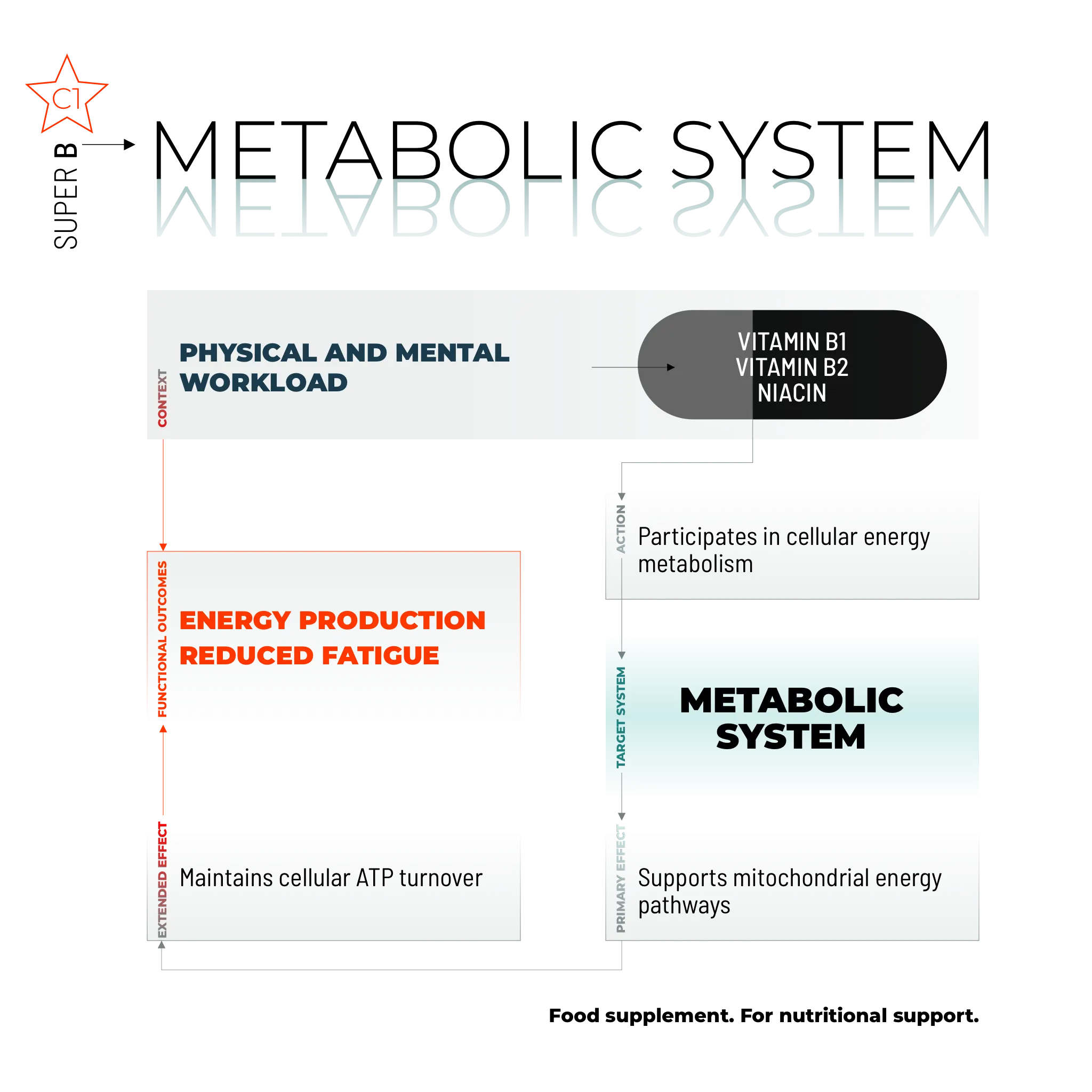 SUPER B / 100 KAPSELN.