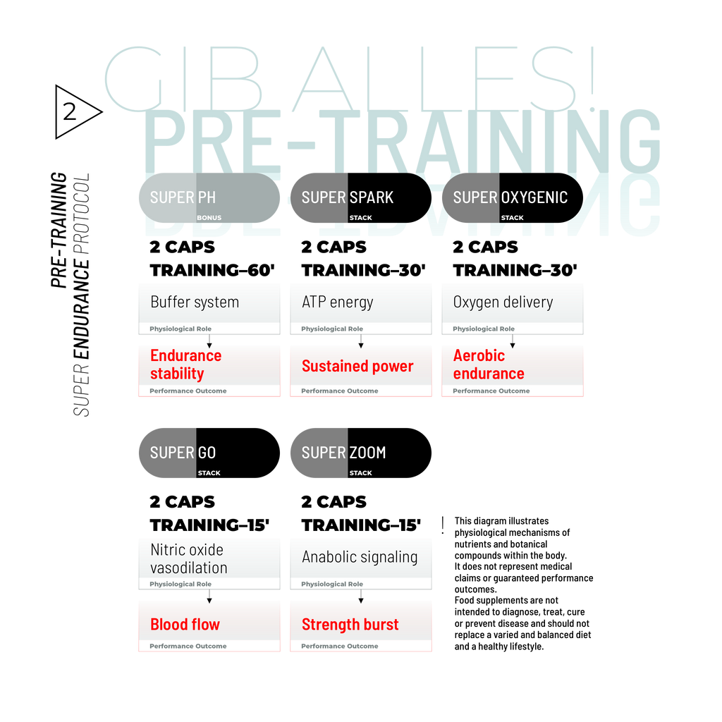 SUPER ENDURANCE BUNDLE