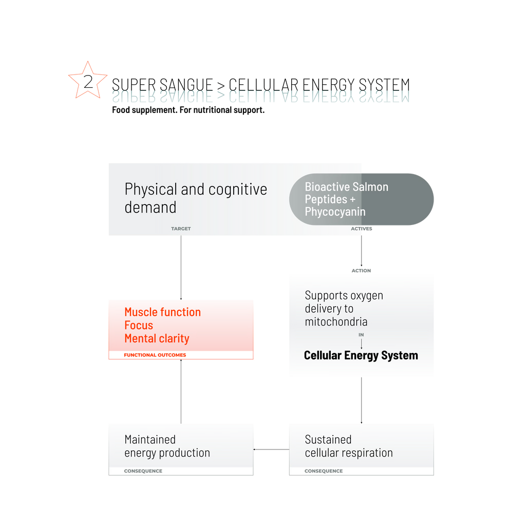 SUPER SANGUE / 150 TABS.