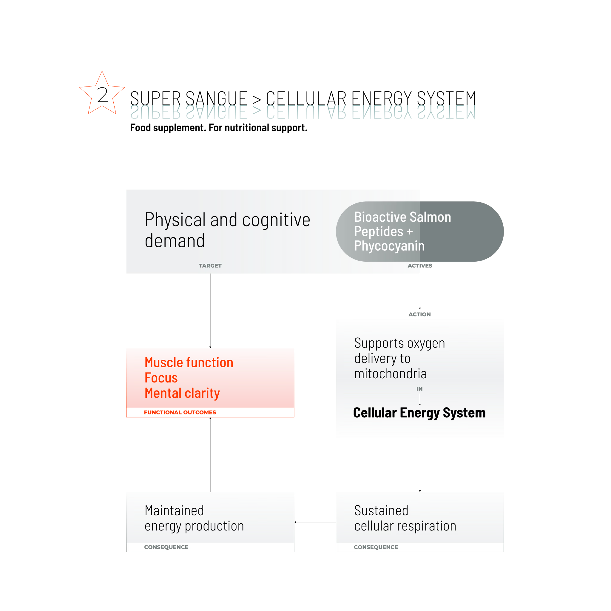 SUPER SANGUE / 150 TABS.