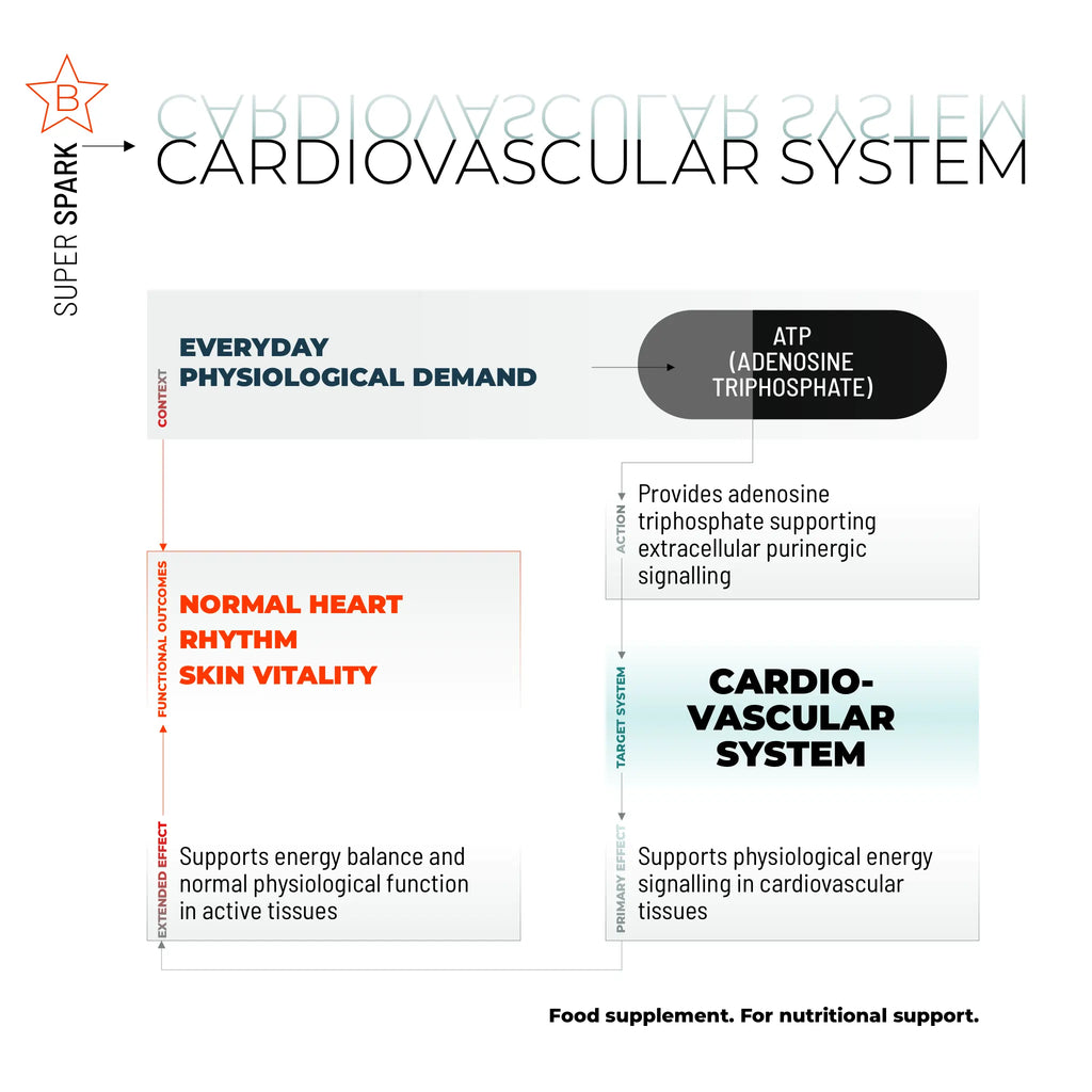 SUPER SPARK / 100 CAPS.