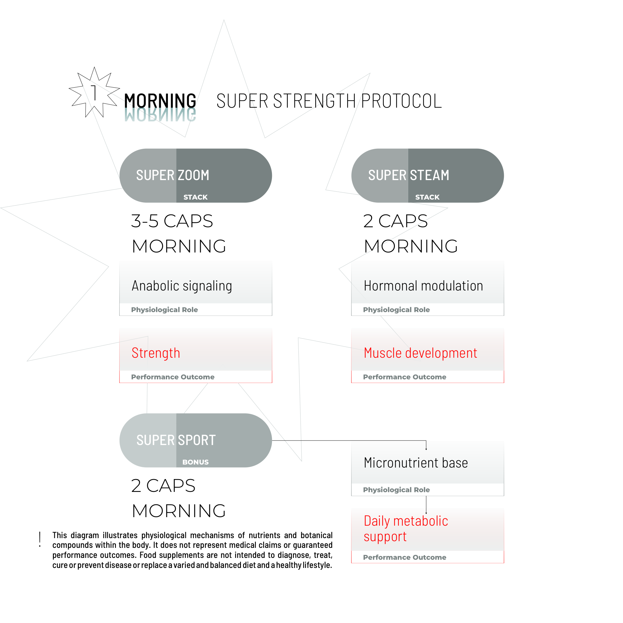 SUPER STRENGTH BUNDLE
