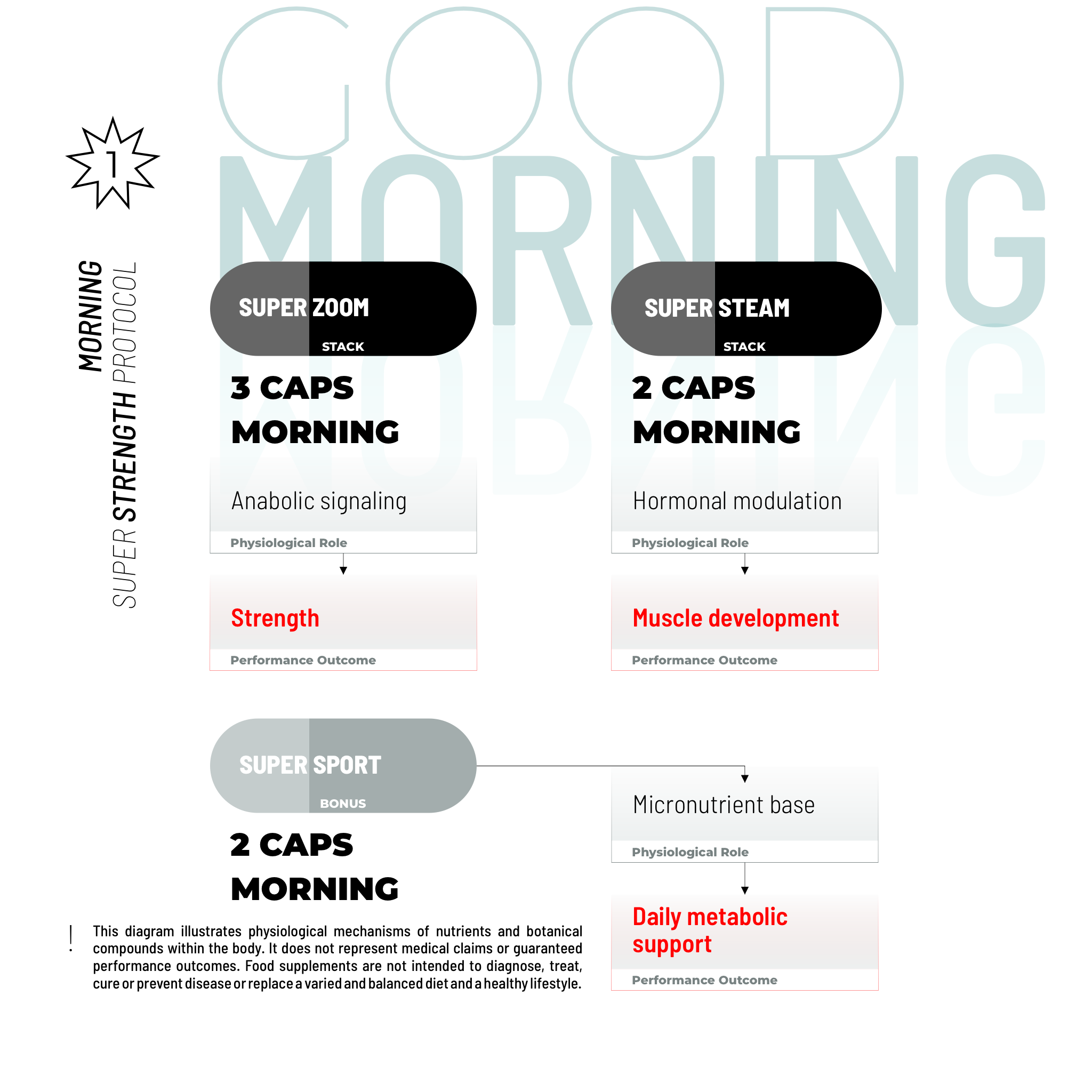 SUPER STRENGTH BUNDLE