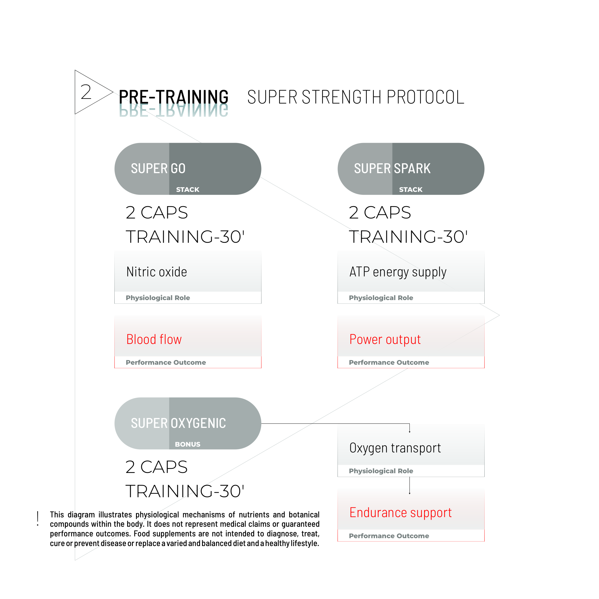 SUPER STRENGTH BUNDLE