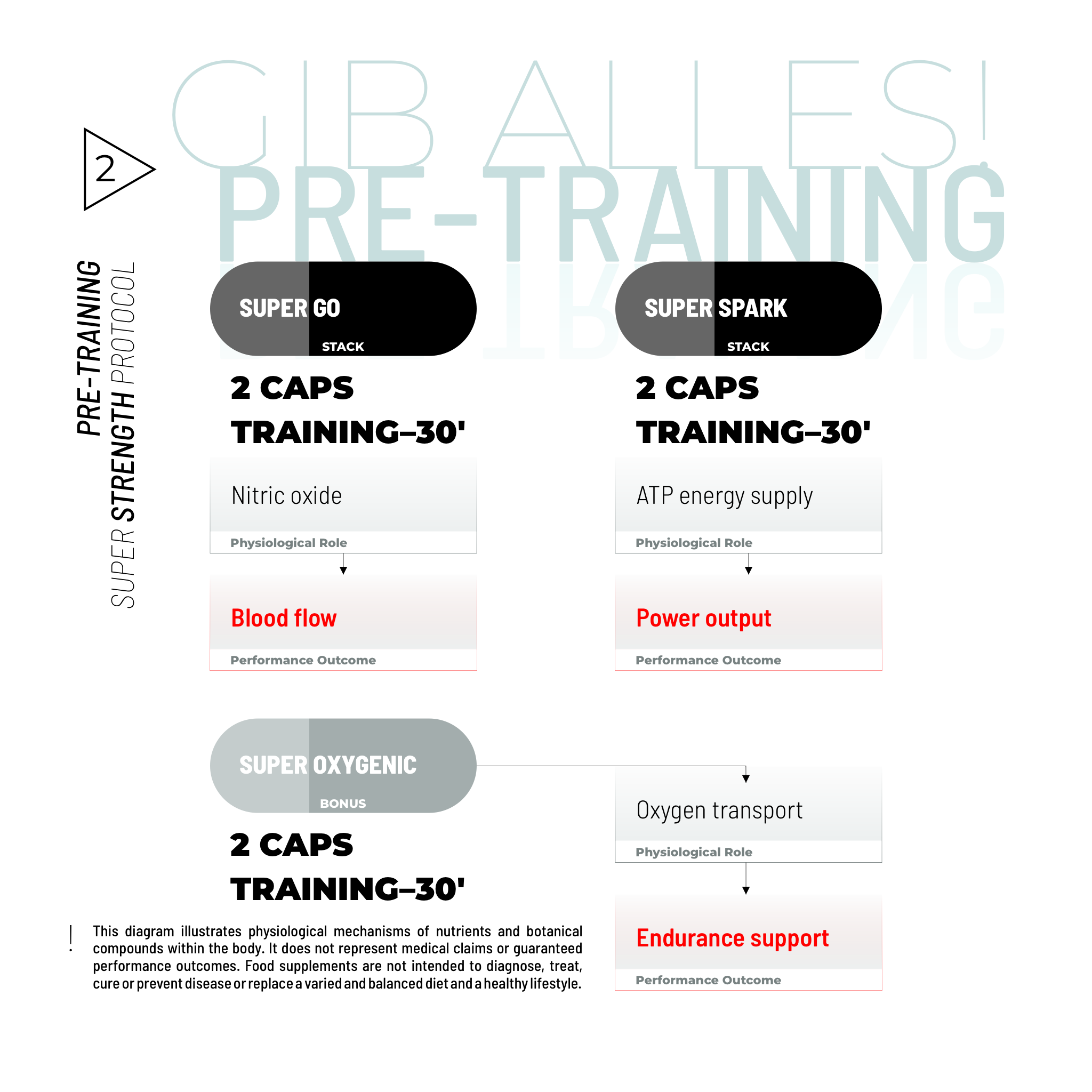 SUPER STRENGTH BUNDLE