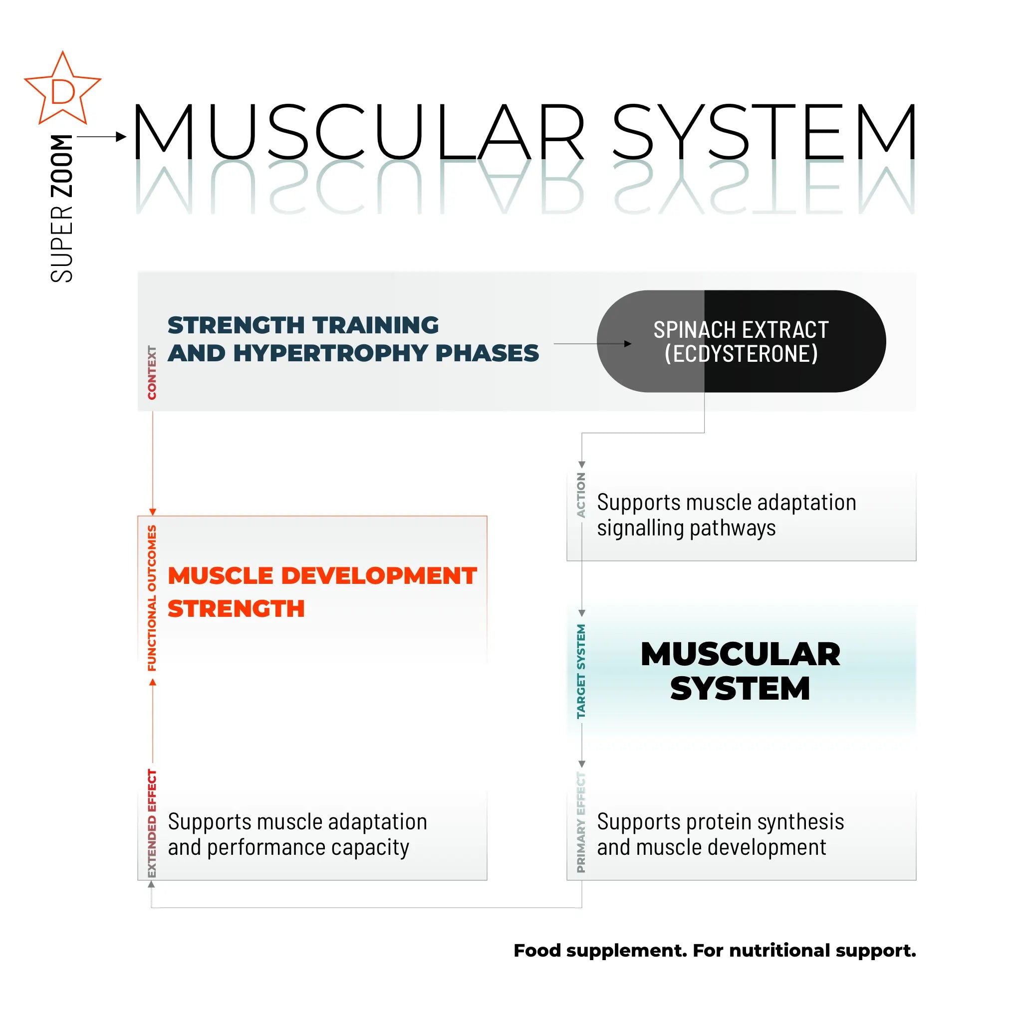 SUPER ZOOM / 140 CAPSULE.