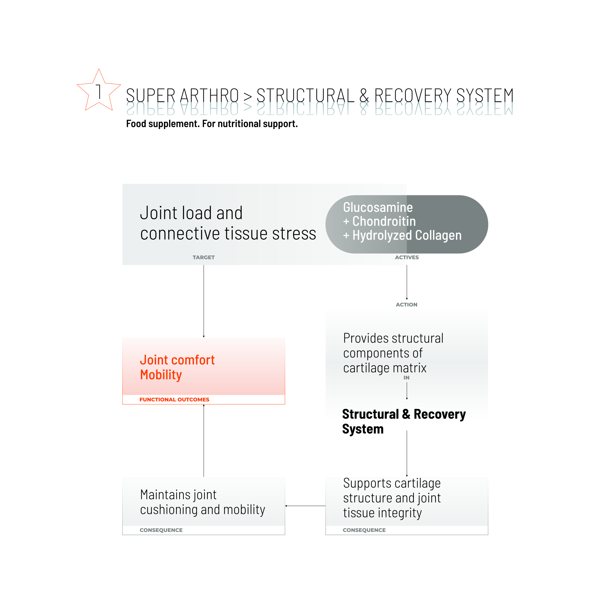 SUPER ARTHRO / 80 CAPS.