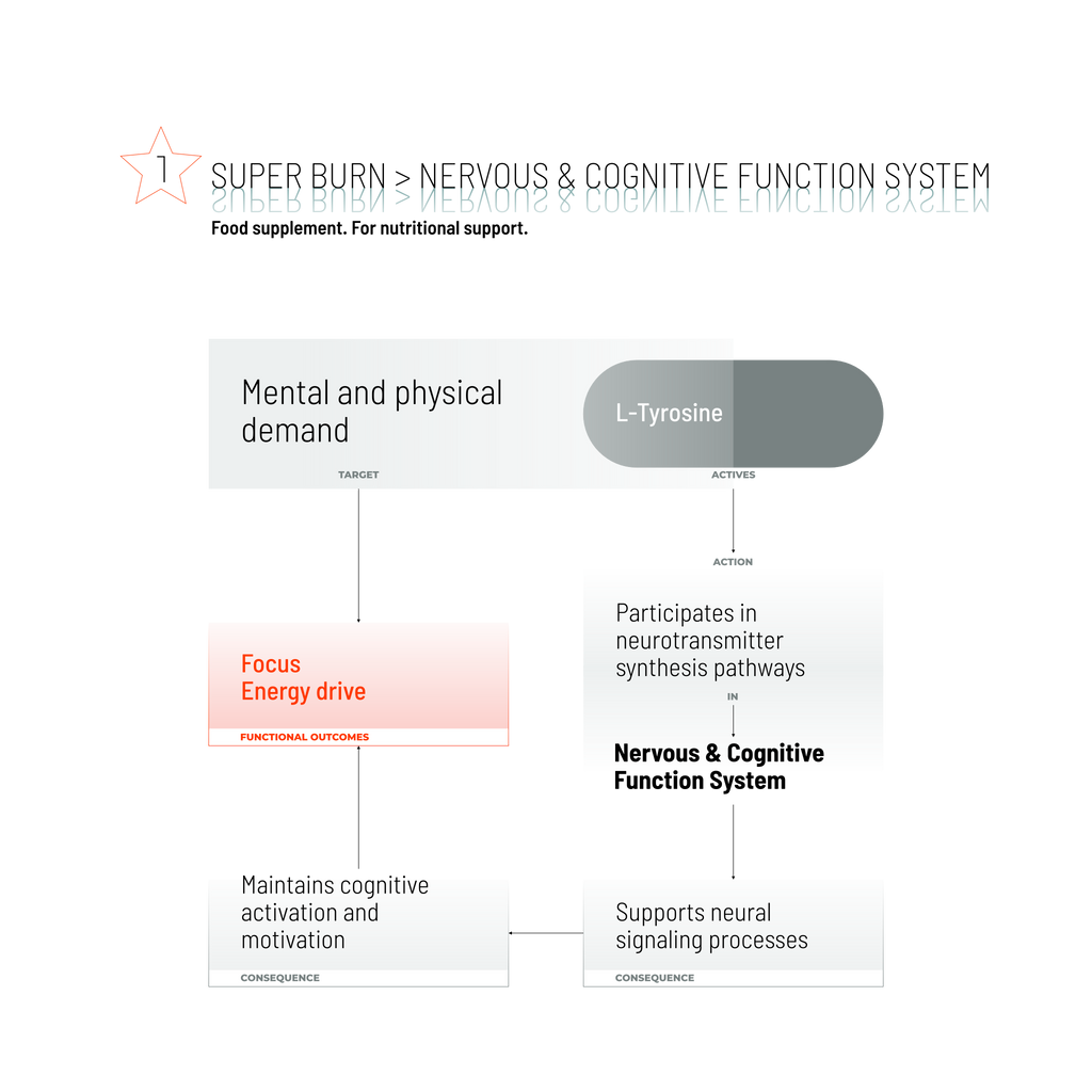 SUPER BURN / 90 CAPS.