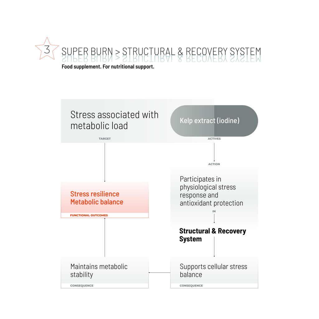 SUPER BURN / 90 CAPS.