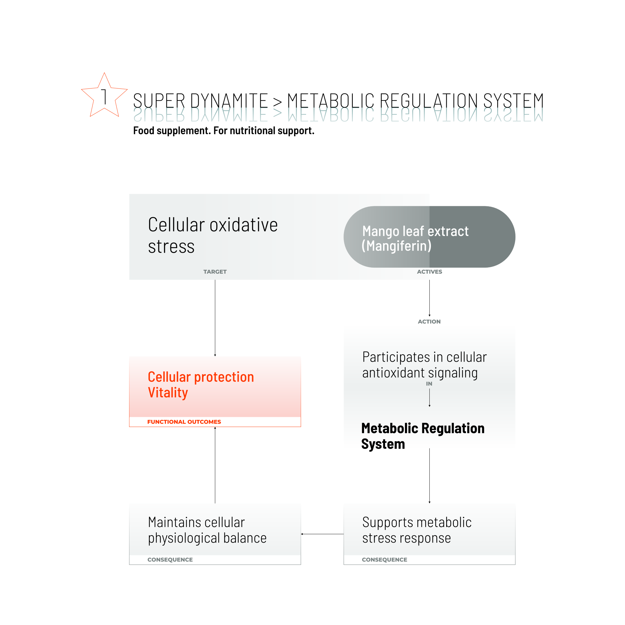 SUPER DYNAMITE / 80 CAPS.