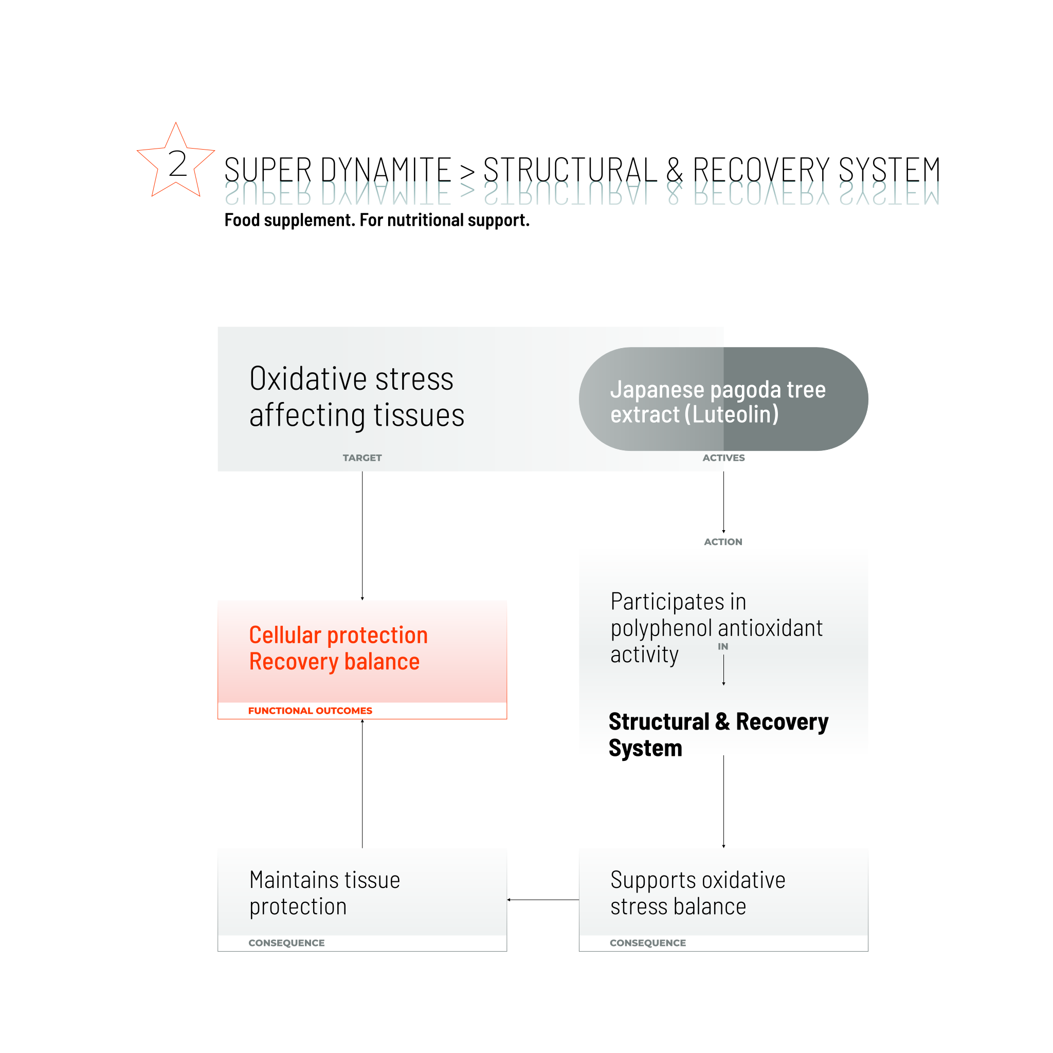 SUPER DYNAMITE / 80 CAPS.