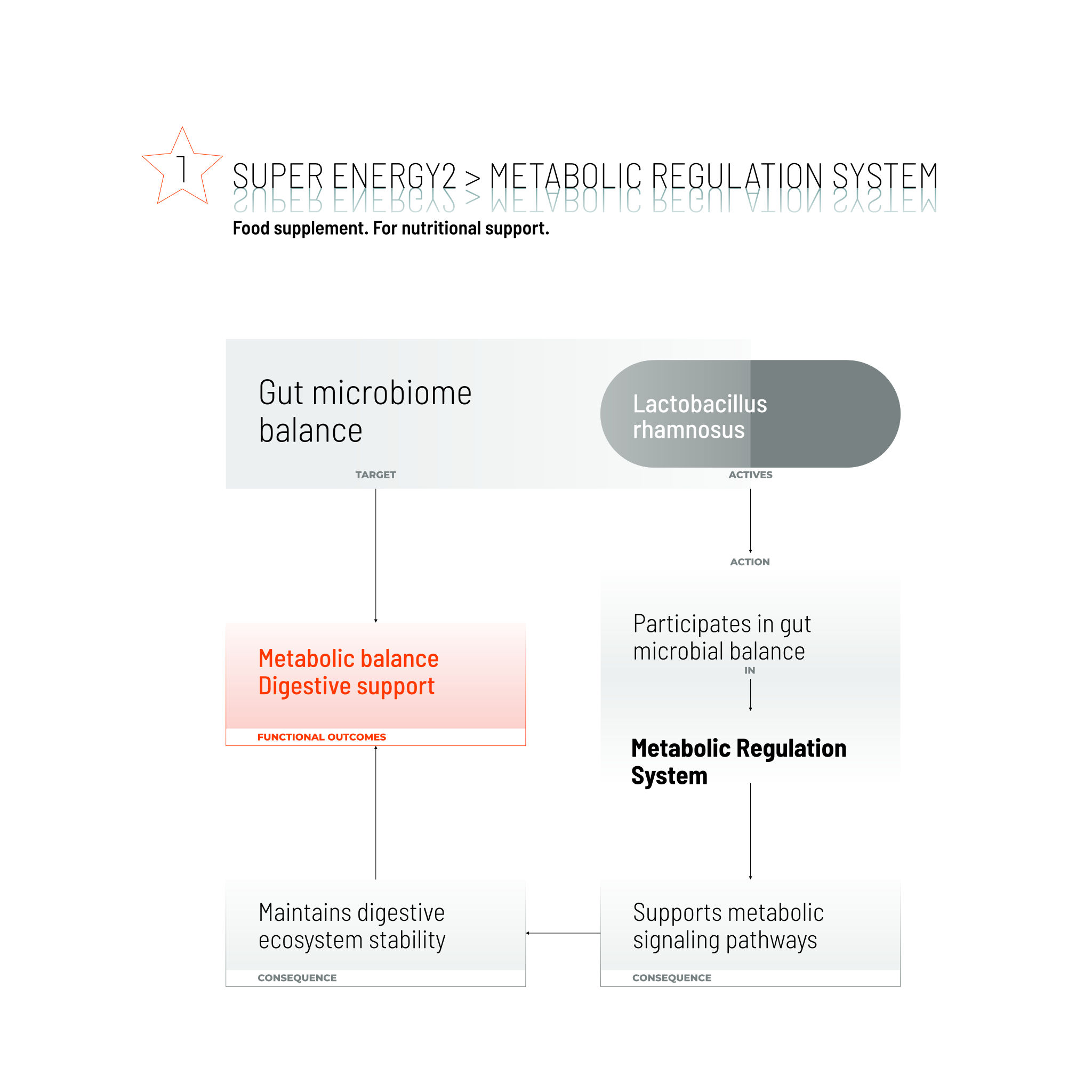 SUPER ENERGY 2 / 90 CAPS.