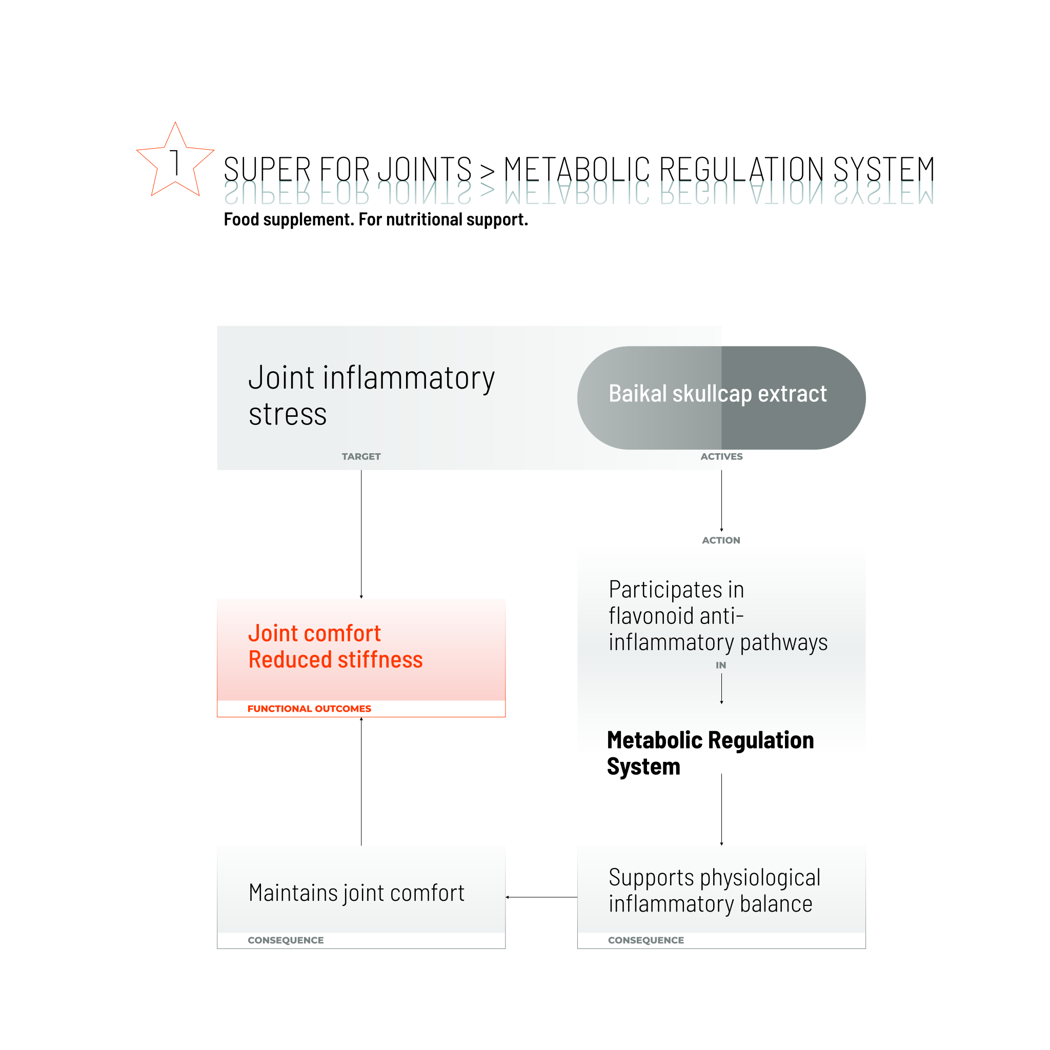 SUPER FOR JOINTS / 80 CAPS.