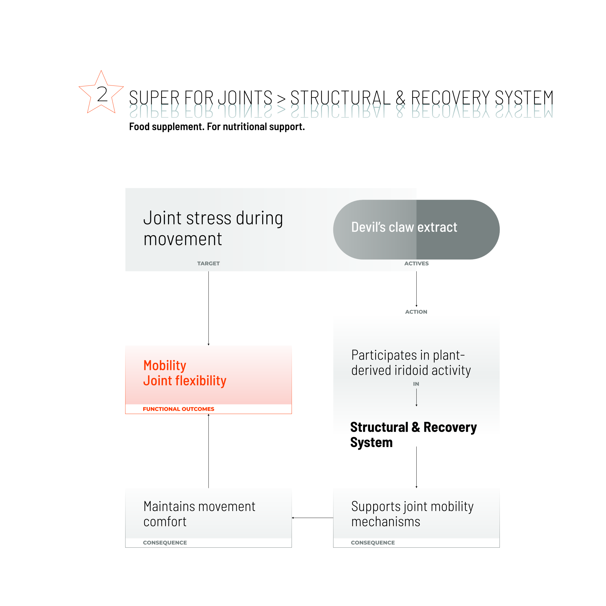 SUPER FOR JOINTS / 80 CAPS.