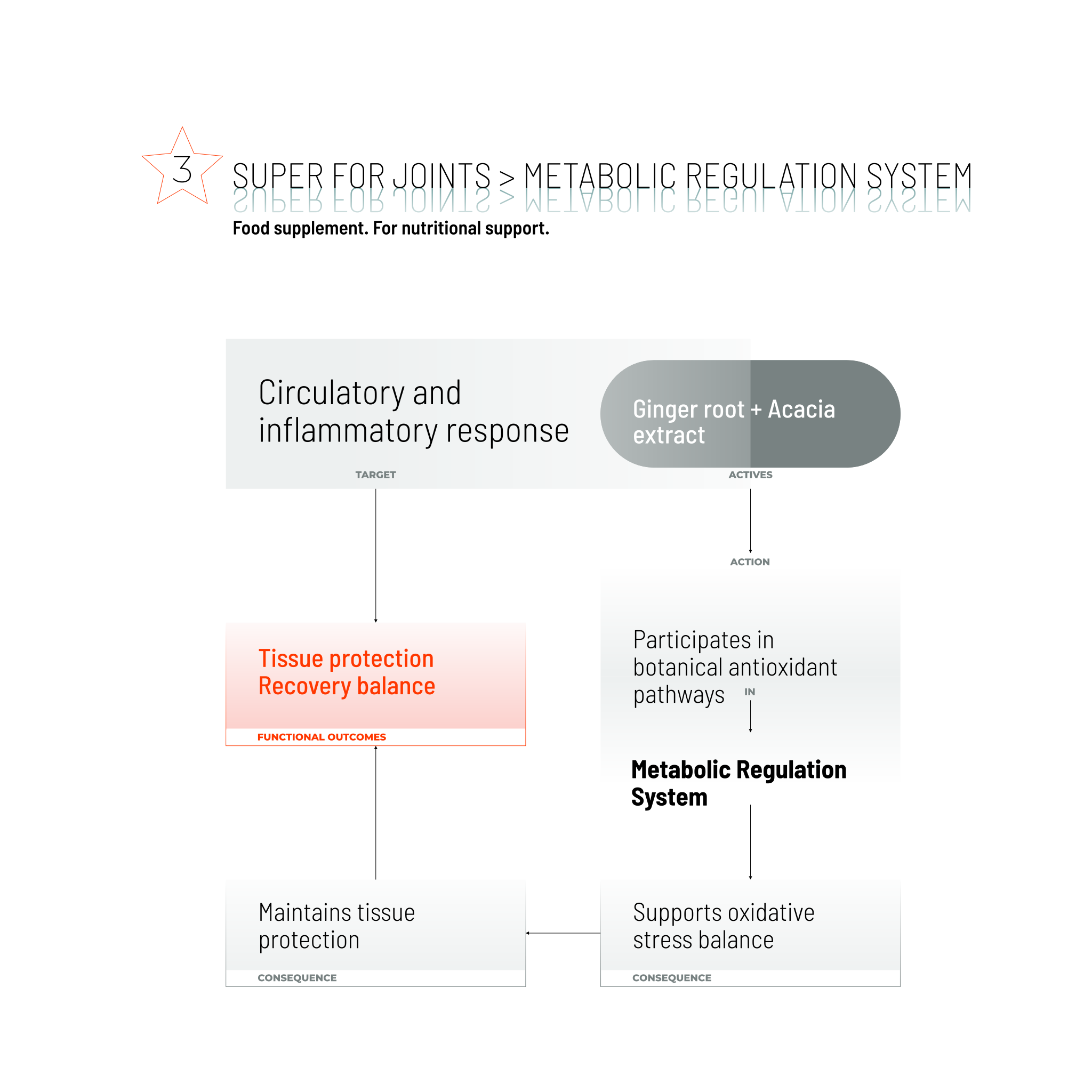 SUPER FOR JOINTS / 80 CAPS.